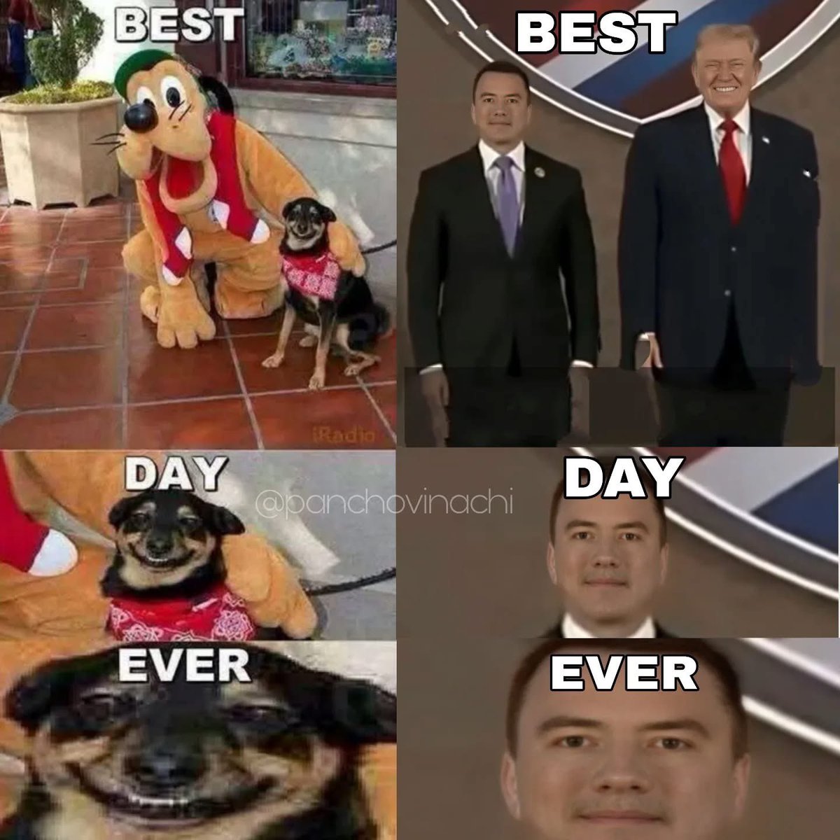 Par de perritos fieles