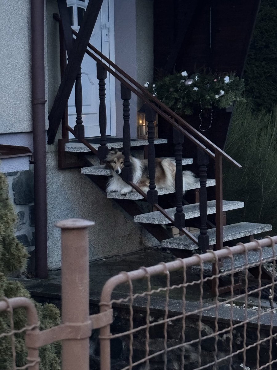 🦖Warmadon Angel🦕 tweet media