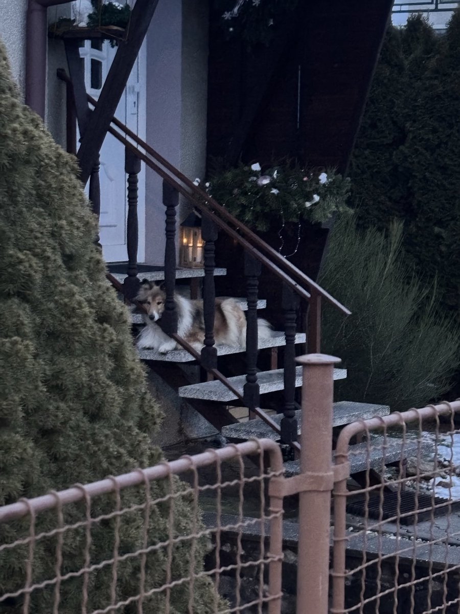 🦖Warmadon Angel🦕 tweet media