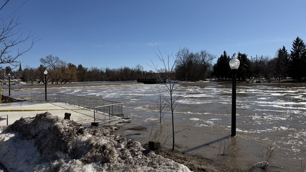 Joshua Goeree tweet media