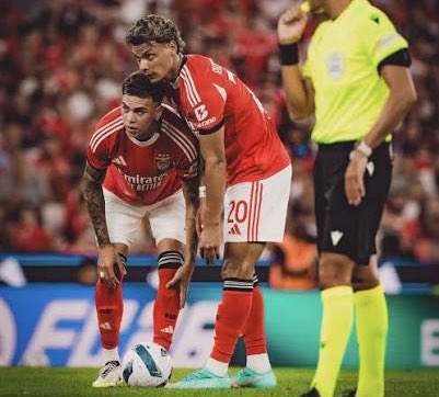 ADEPTOS DO BENFICA tweet media