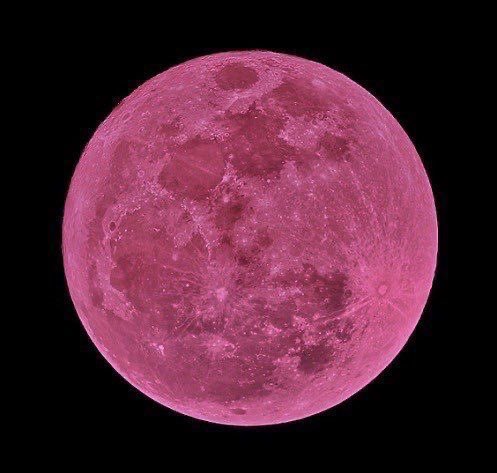 moondailys's tweet photo. The Moon https://t.co/icDNKJf9W4