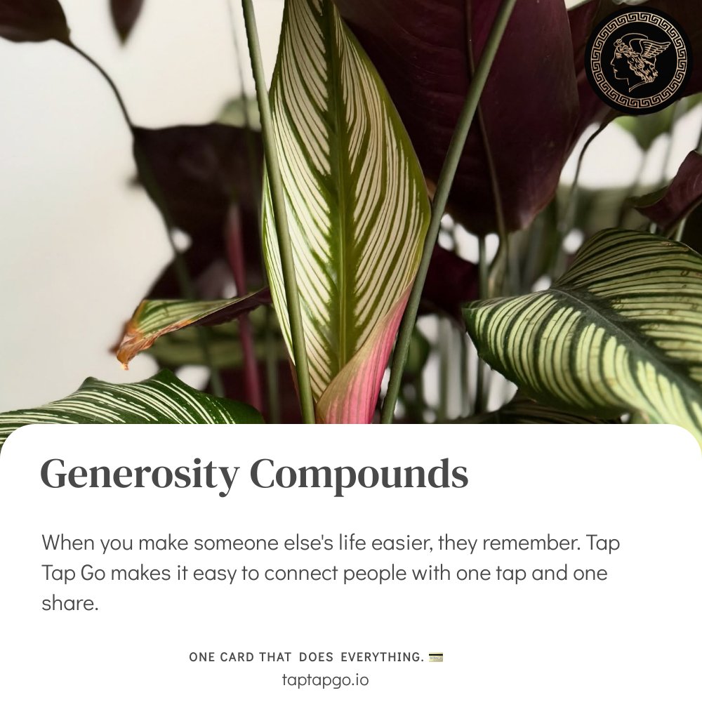 taptapgopr's tweet image. Your value grows when you connect others. Tap Tap Go makes you the bridge, not the bottleneck. #BeAConnector #GenerousNetworking #TapTapGo