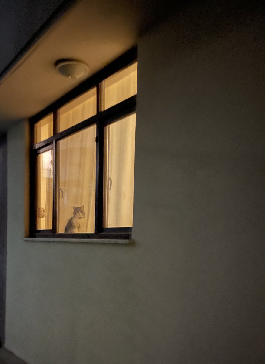 Herkesin vardır bir bekleyeni.