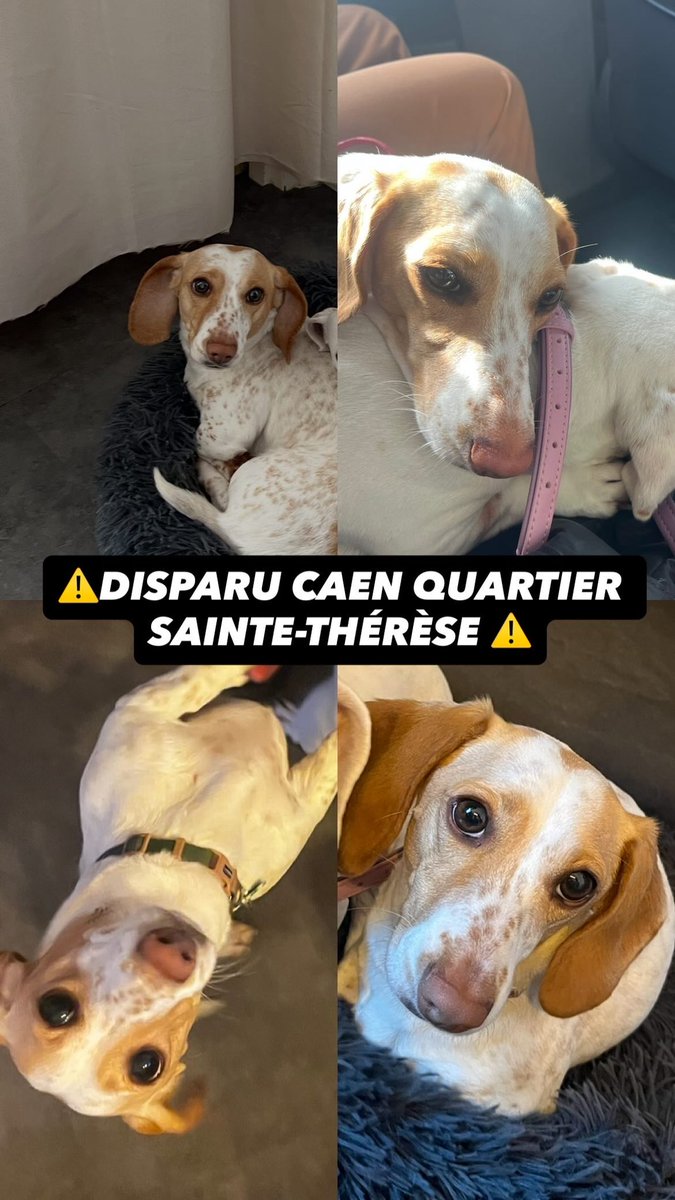 Célia✨ tweet media