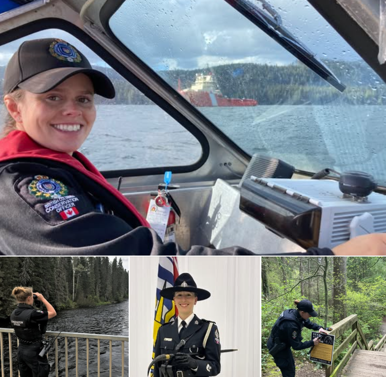 BC CO Service tweet media