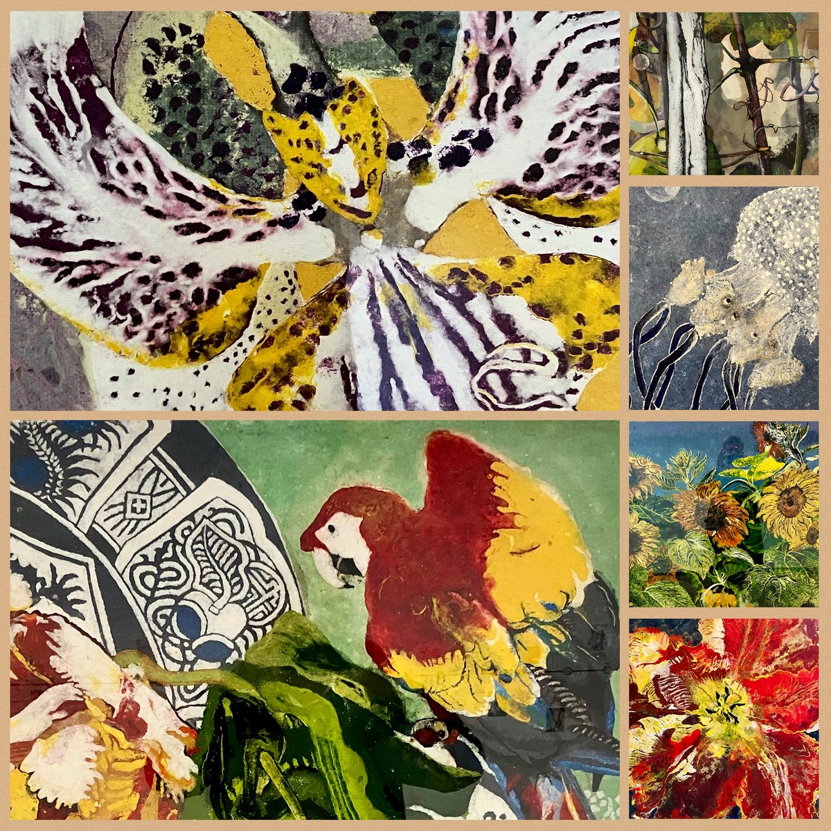 Rob van Zwet tweet media