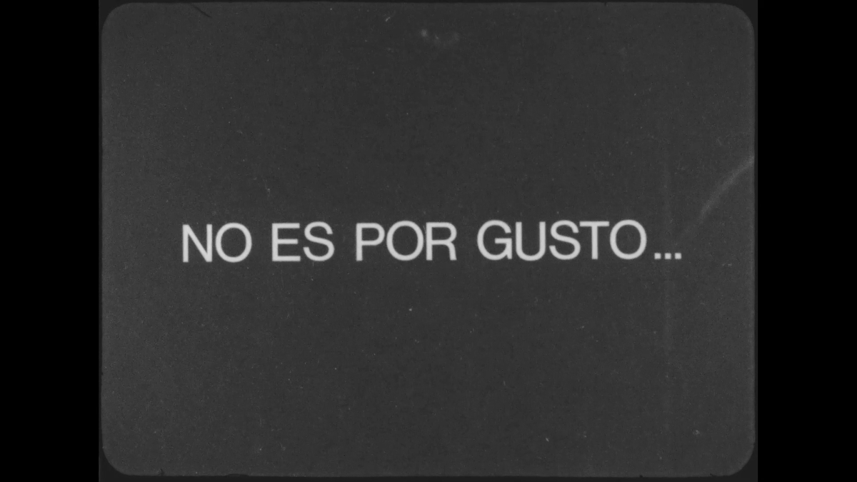 inforealmexico's tweet photo. Información real de seis películas en línea del Colectivo Cine Mujer. https://t.co/ytVnEscBXC https://t.co/TonOJfxZsn