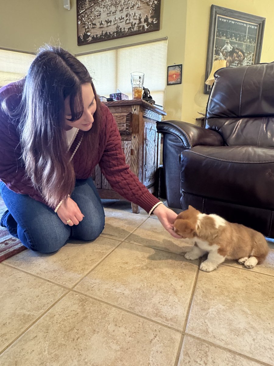 Joseph Hoyt tweet media