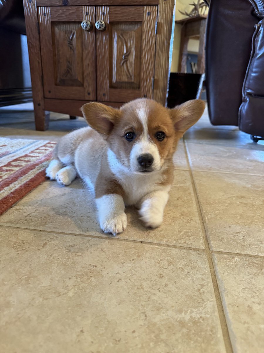 Joseph Hoyt tweet media