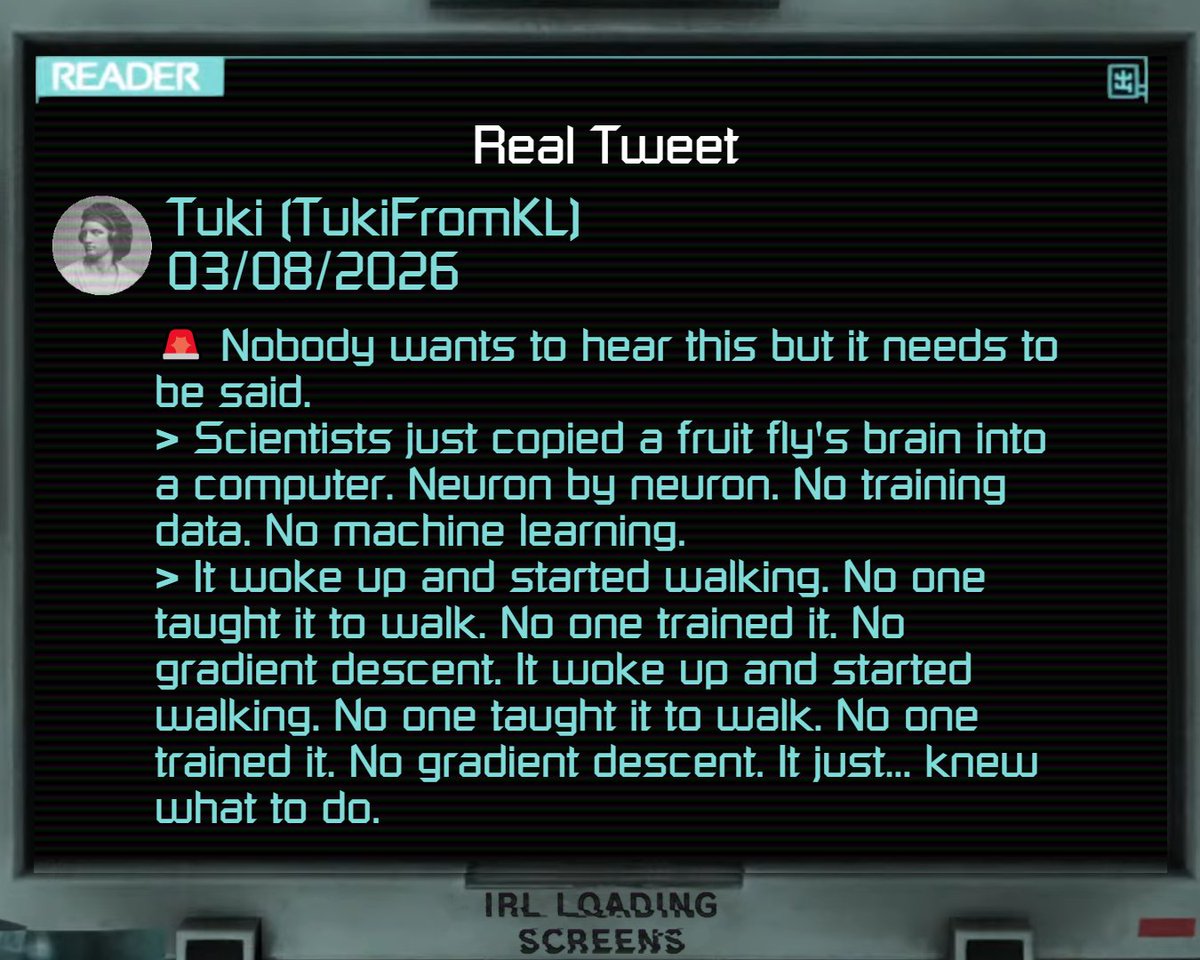 IRL Loading Screens tweet media