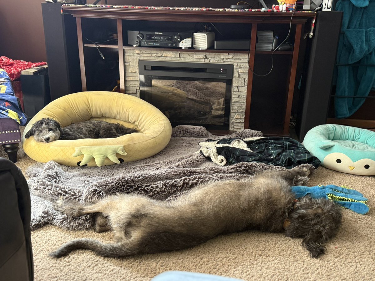 Chris Harrington tweet media