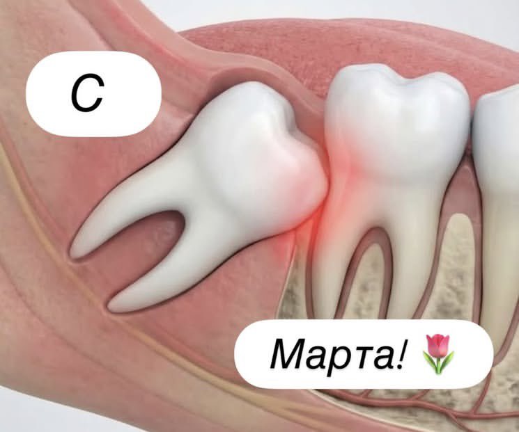 $тиль жизни💅 tweet media