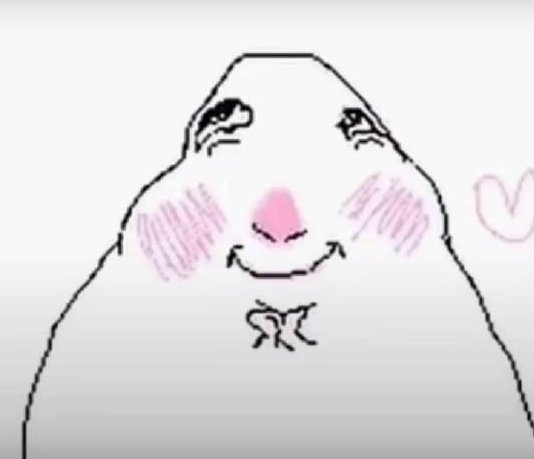 JOLA MUYIS QN SE QUIERE UNIR A UN GRUPO DE EDTWT TOXICO? TDOS??? OEKI GRACIAS LOS AMO