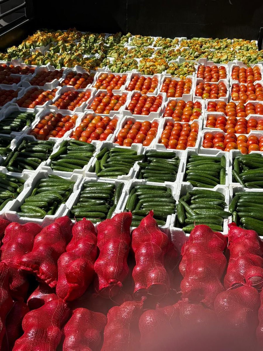 جمعية النبهانية للخدمات الإنسانية والاجتماعية|🇸🇦 tweet media