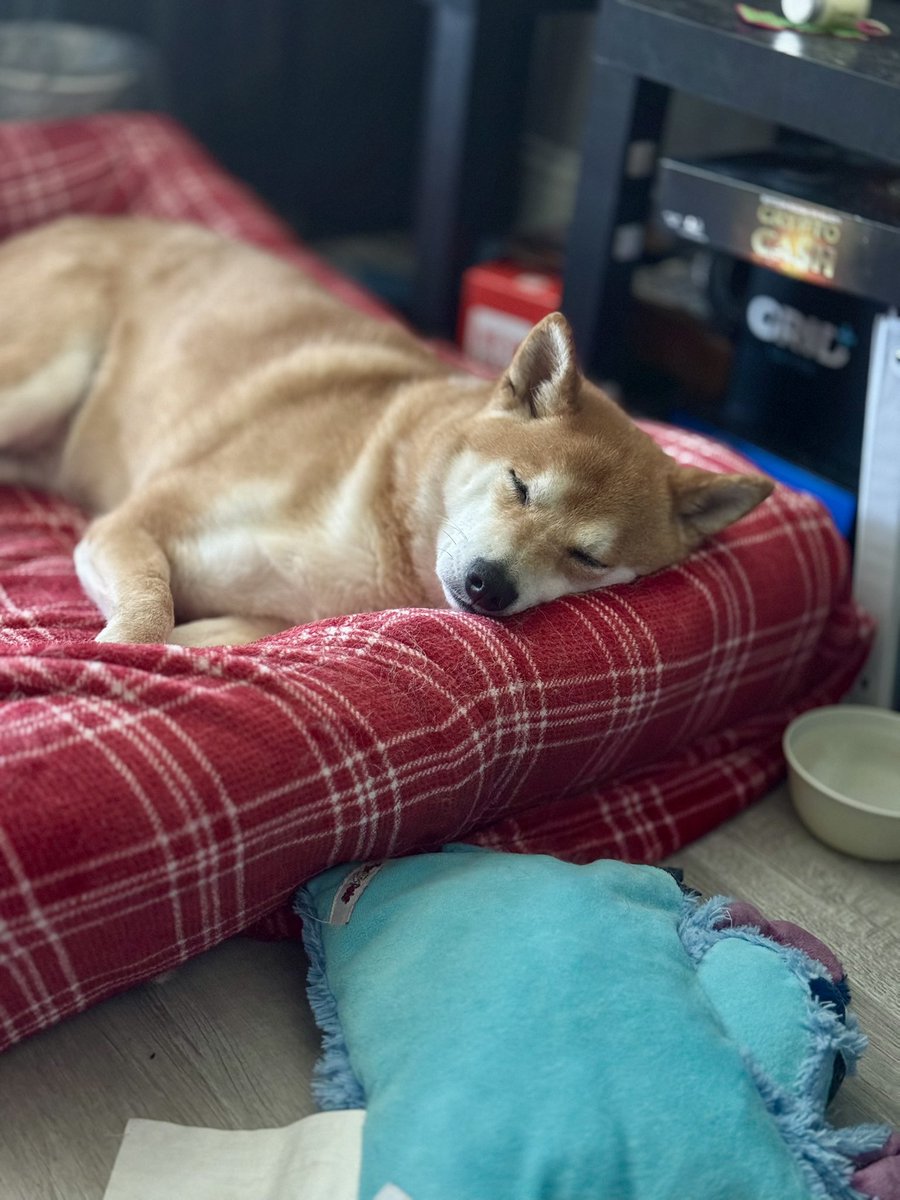 W 0 0 D S tweet media