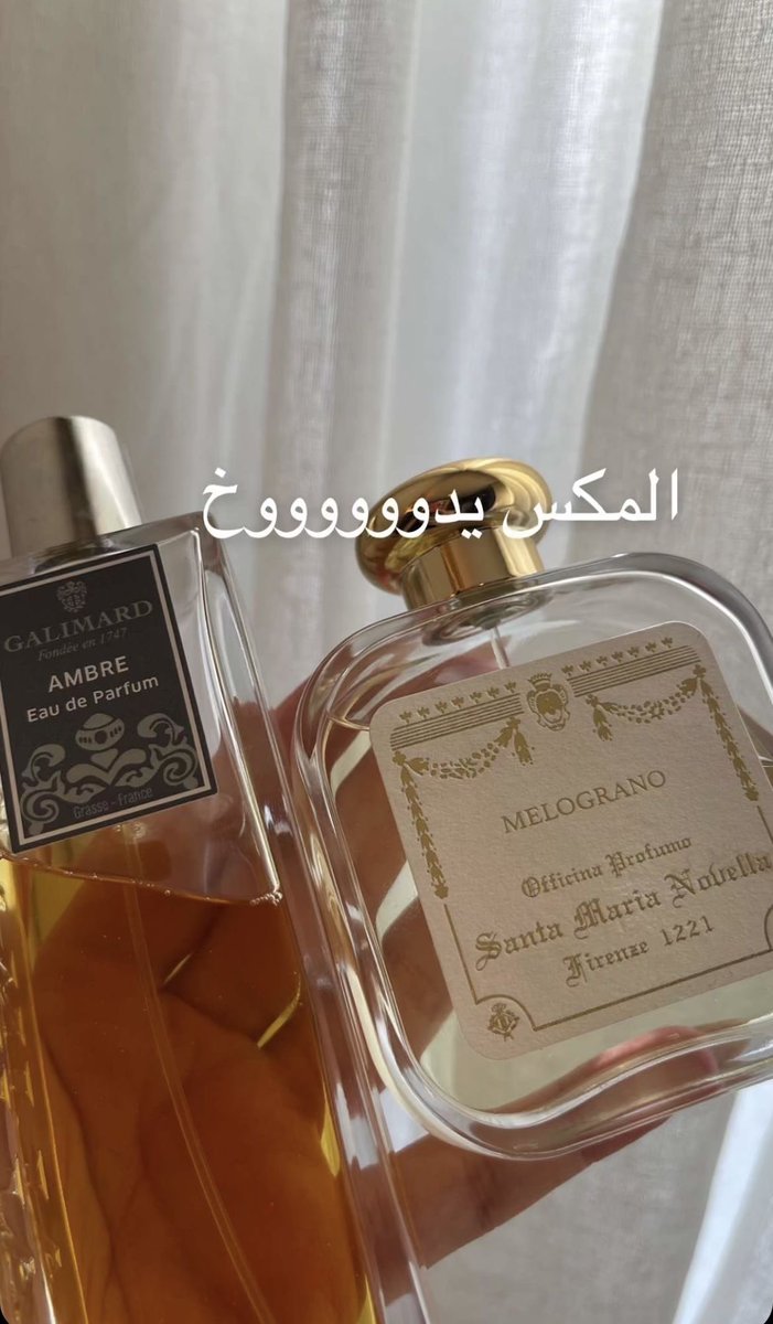 عالم النساء 💄🎀💗🪞 tweet media