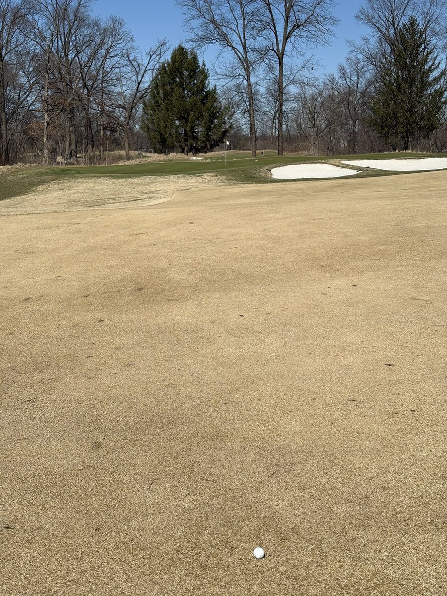 Skipper Jones tweet media