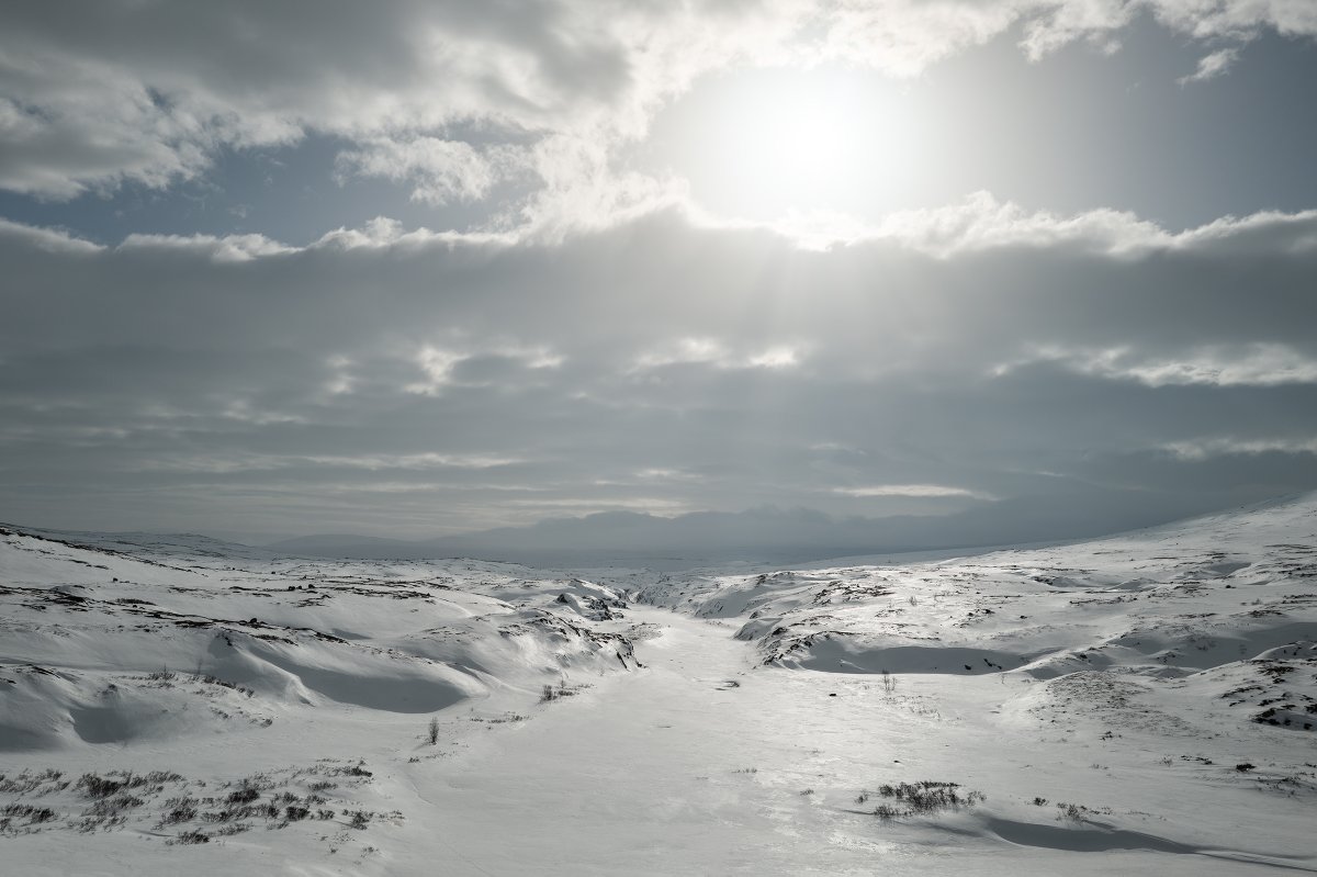 Emmanuel Nataf tweet media