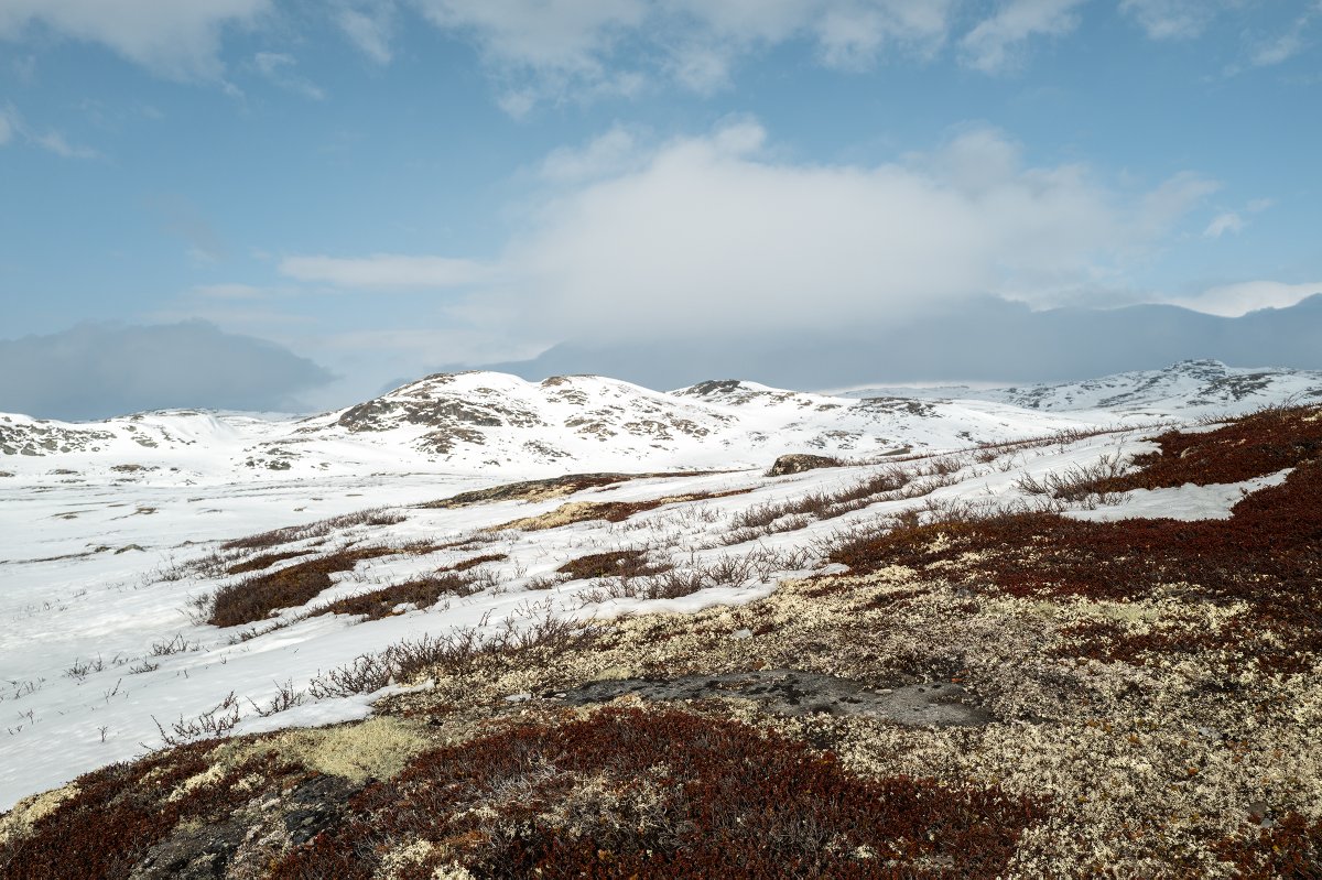 Emmanuel Nataf tweet media