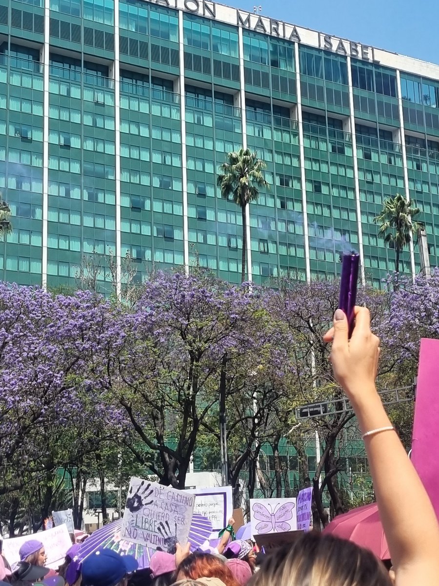 Ximena Medellin tweet media