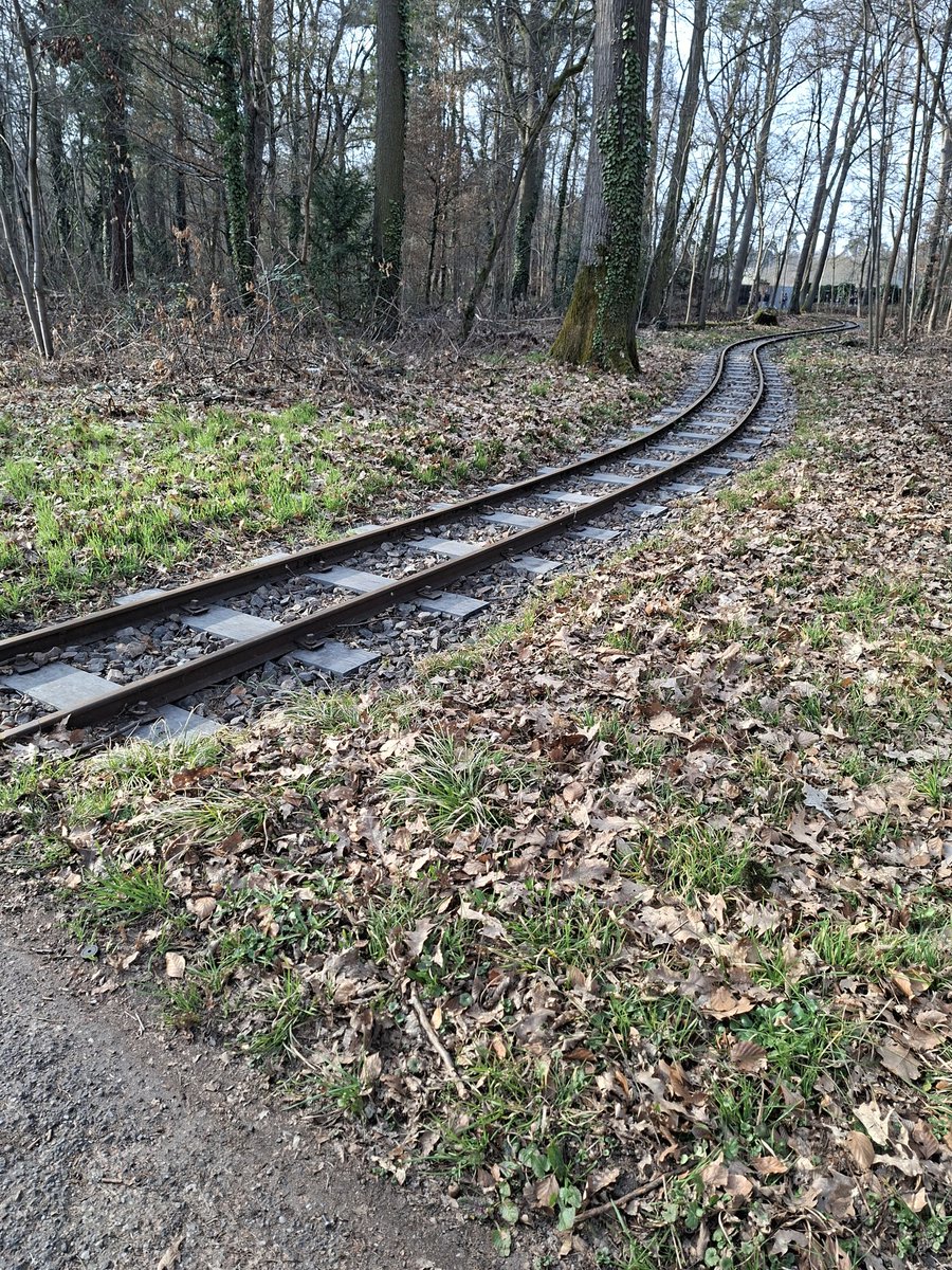 Jan Pieter tweet media