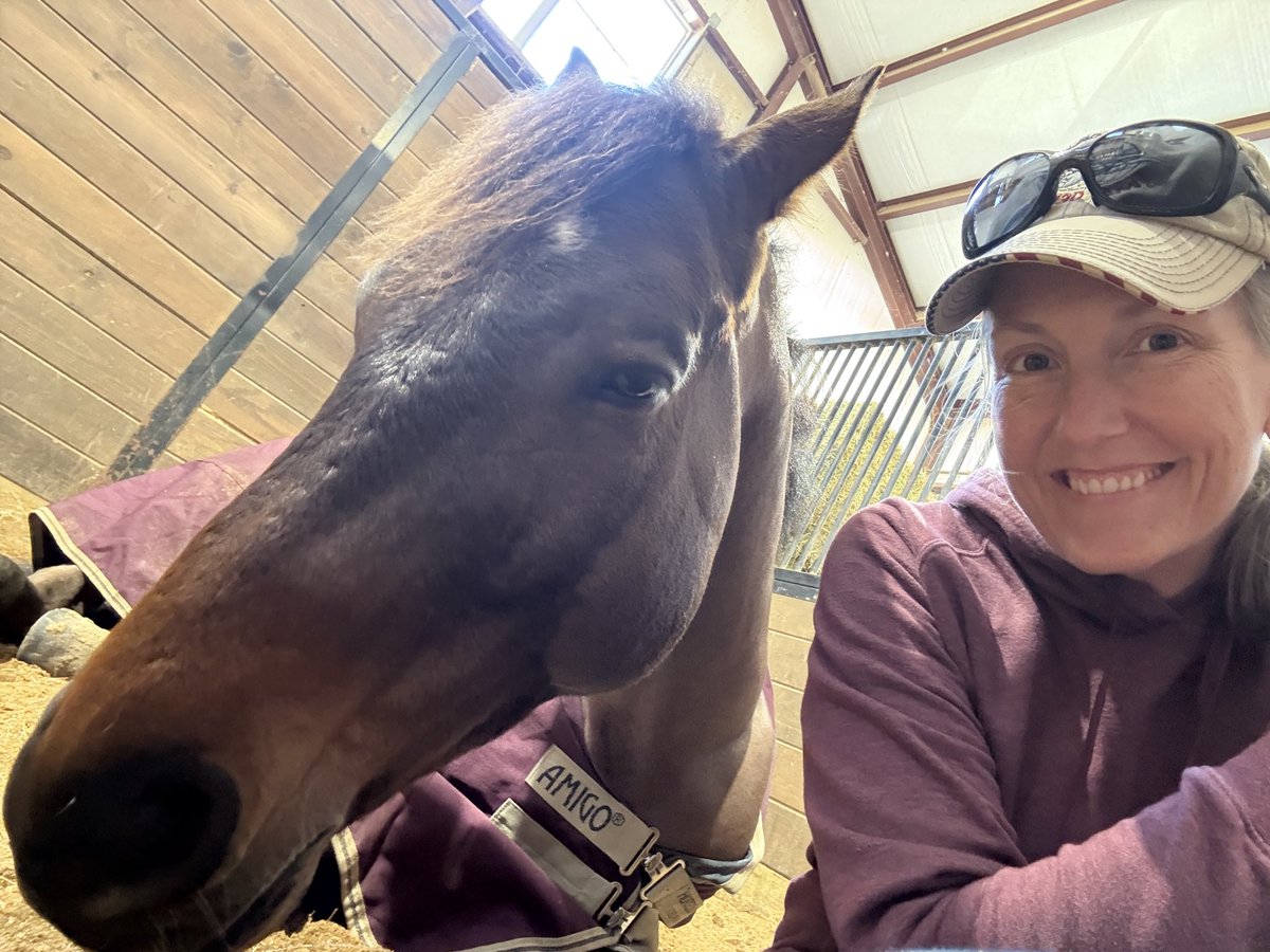 AmandaGeaney's tweet image. Sundays afternoons are for napping.

#maximillion🐴 #sporthorse #eventing