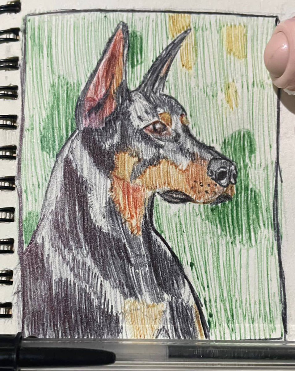 The Art Nest(TAN) tweet media