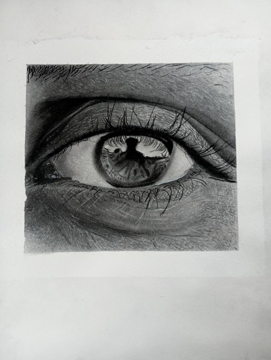 The Art Nest(TAN) tweet media