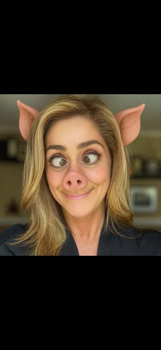 IAMDeplorable2 tweet media