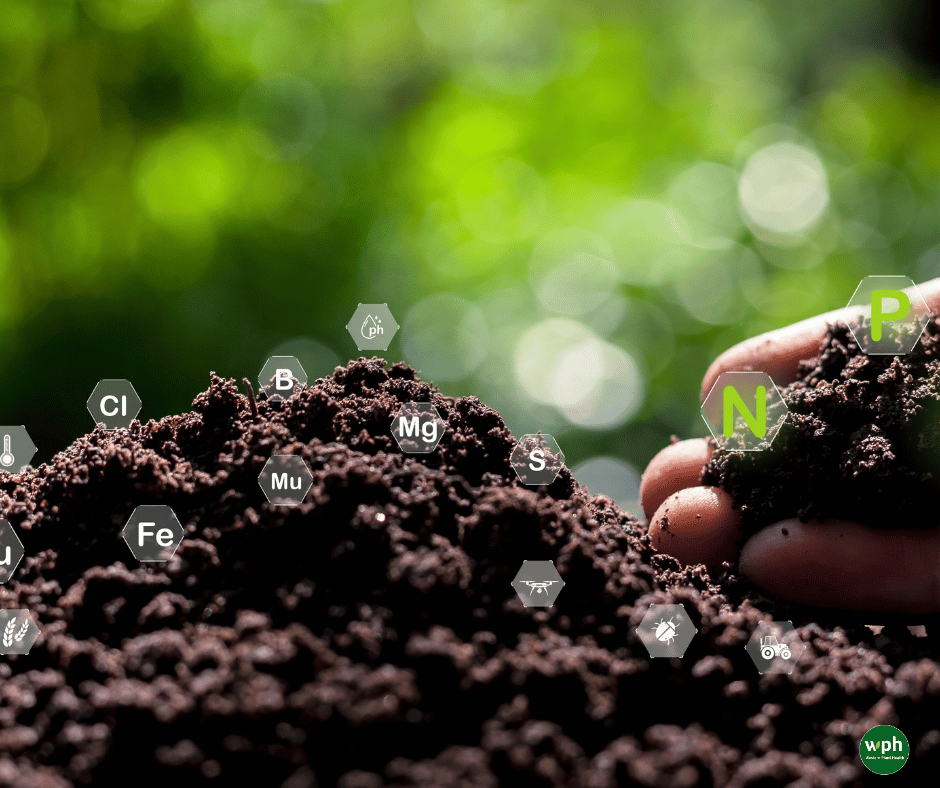 wpha's tweet photo. Affordable Food Starts With Healthy Soil

Soil nutrients are the foundation of abundant, affordable produce. WPH supports science-driven practices that restore soils, reduce erosion, and keep communities fed.
https://t.co/9uMHA3wfk7 https://t.co/f5RaJzT6yc