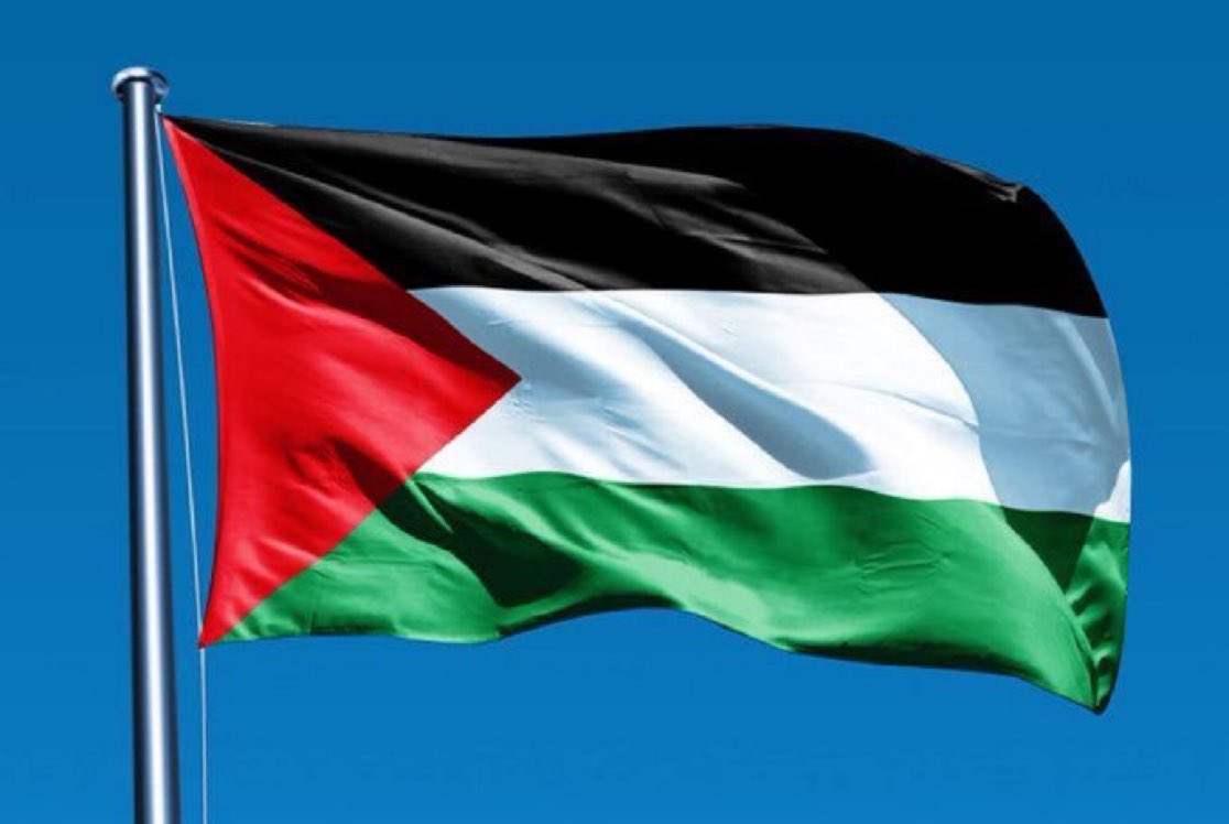Palestine Daily News✌️🇵🇸✌️ tweet media