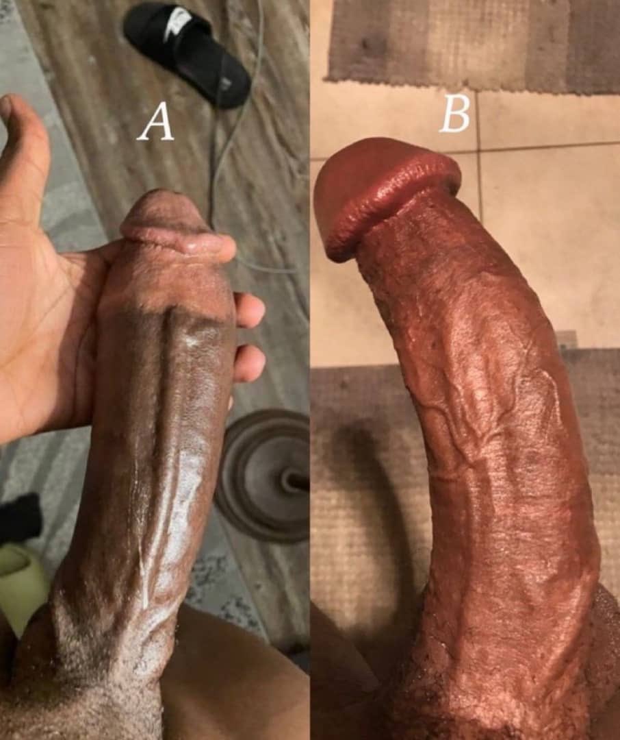 DADDY BENJAMIN BNWO KING tweet media