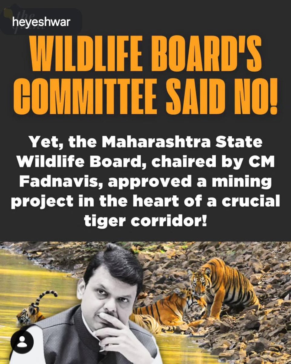 PhaedraXTeddy's tweet image. Leopards are deleted for both illegal and "legal" Indian mining.
For Indian 🇮🇳 dogs' sake and people who care for them, I quit buying tea and spices and rice and now anything #MadeInIndia like LEATHER ( cow could likely have been r*ped and skind live. Animal hating people have