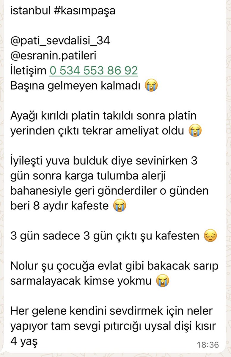 Arzu🇹🇷 tweet media