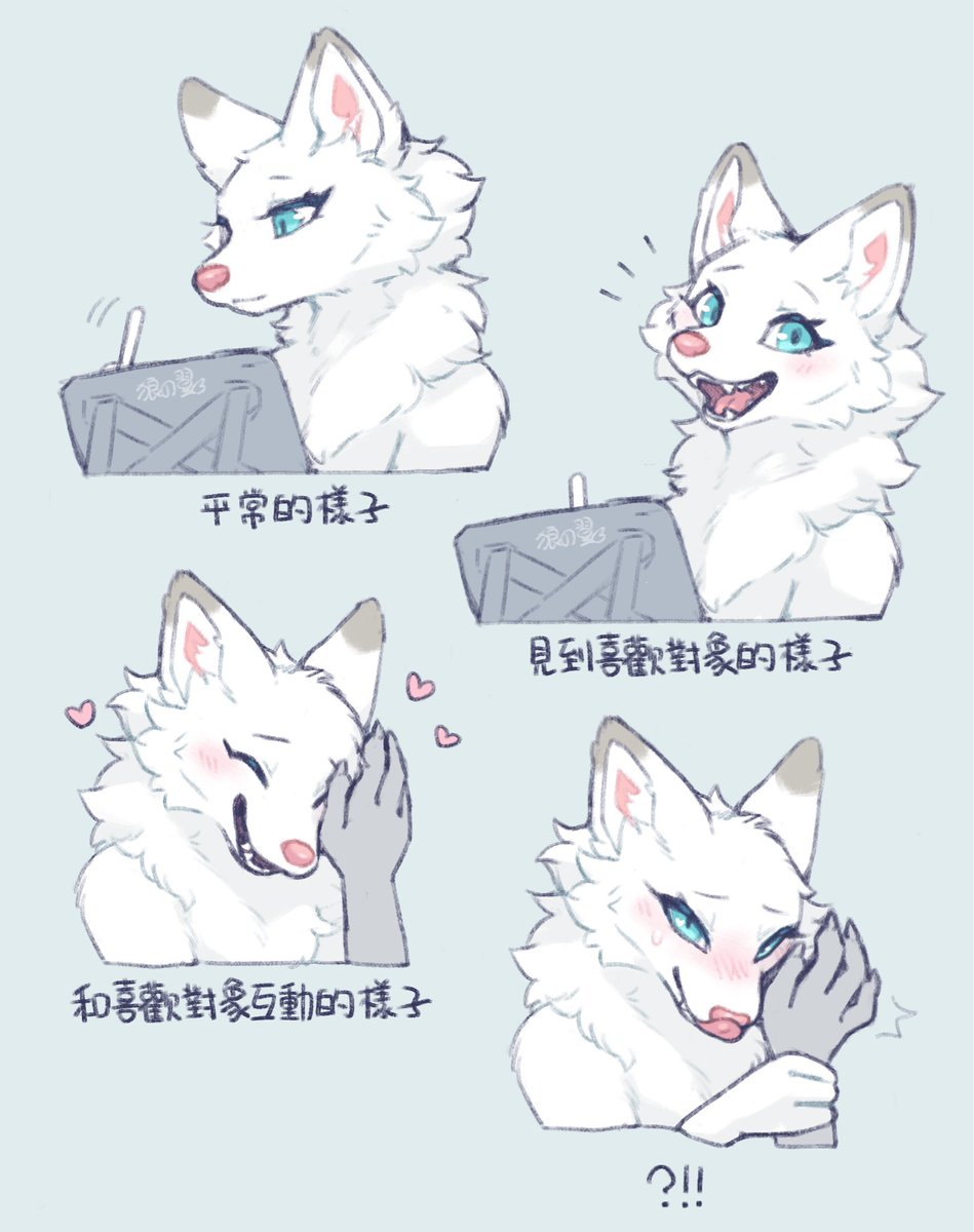 狼兒⋈ tweet media