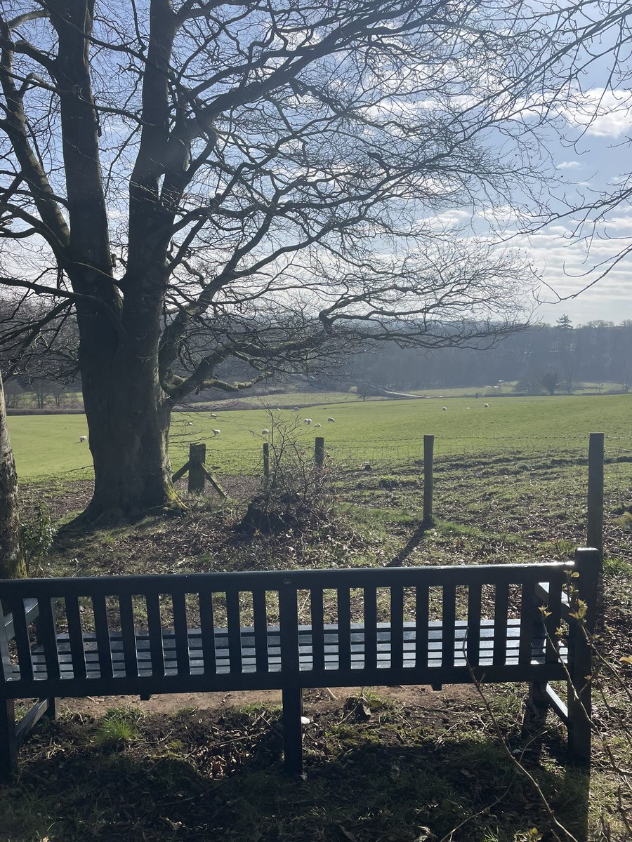 devereux1655's tweet image. Had a lovely jacket after walk - cheese always on the side and not melted - faces in trees and lovely views #SundayVibes #views #food #trees #TreeClub