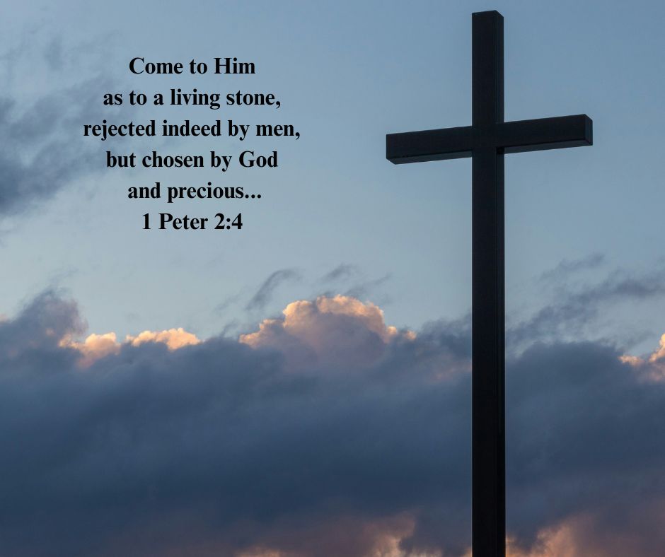 Despised by most of the religious &amp; government leaders, Jesus was crucified ... He did not fulfill their expectations. His value for us, however, is more precious than silver or gold. We have the assurance that whoever chooses to trust Jesus will never be ashamed of their choice.