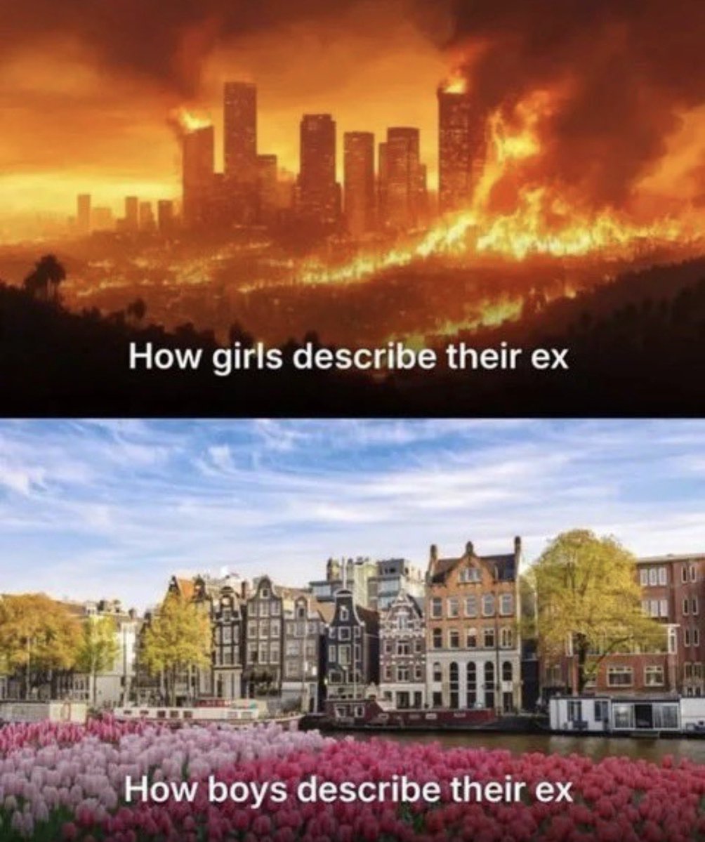 Alinho Brazilian 🇧🇷 (@brazilianalinho) on Twitter photo 