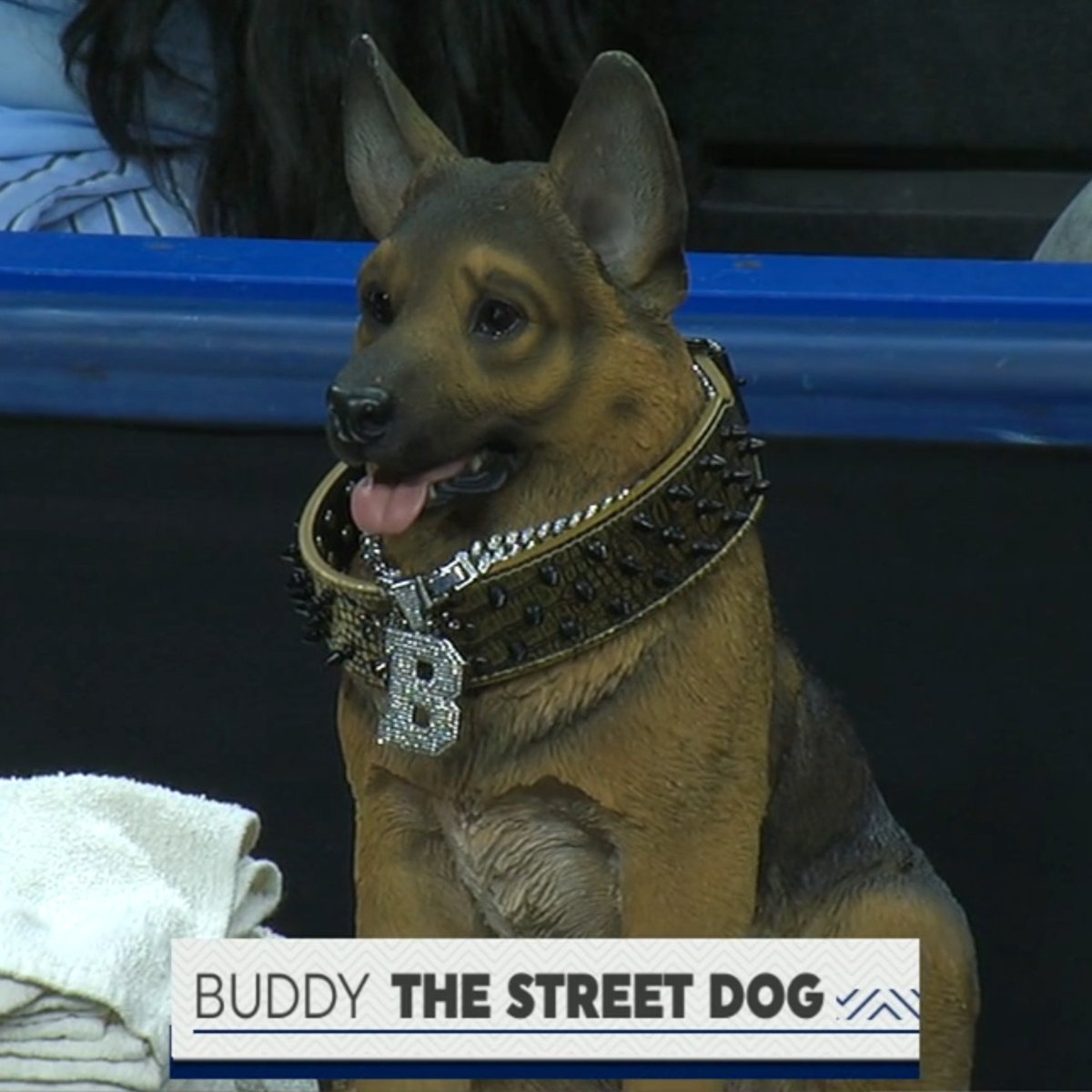 The Sporting News tweet media