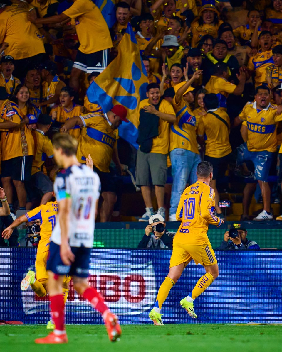 Club Tigres 🐯 tweet media