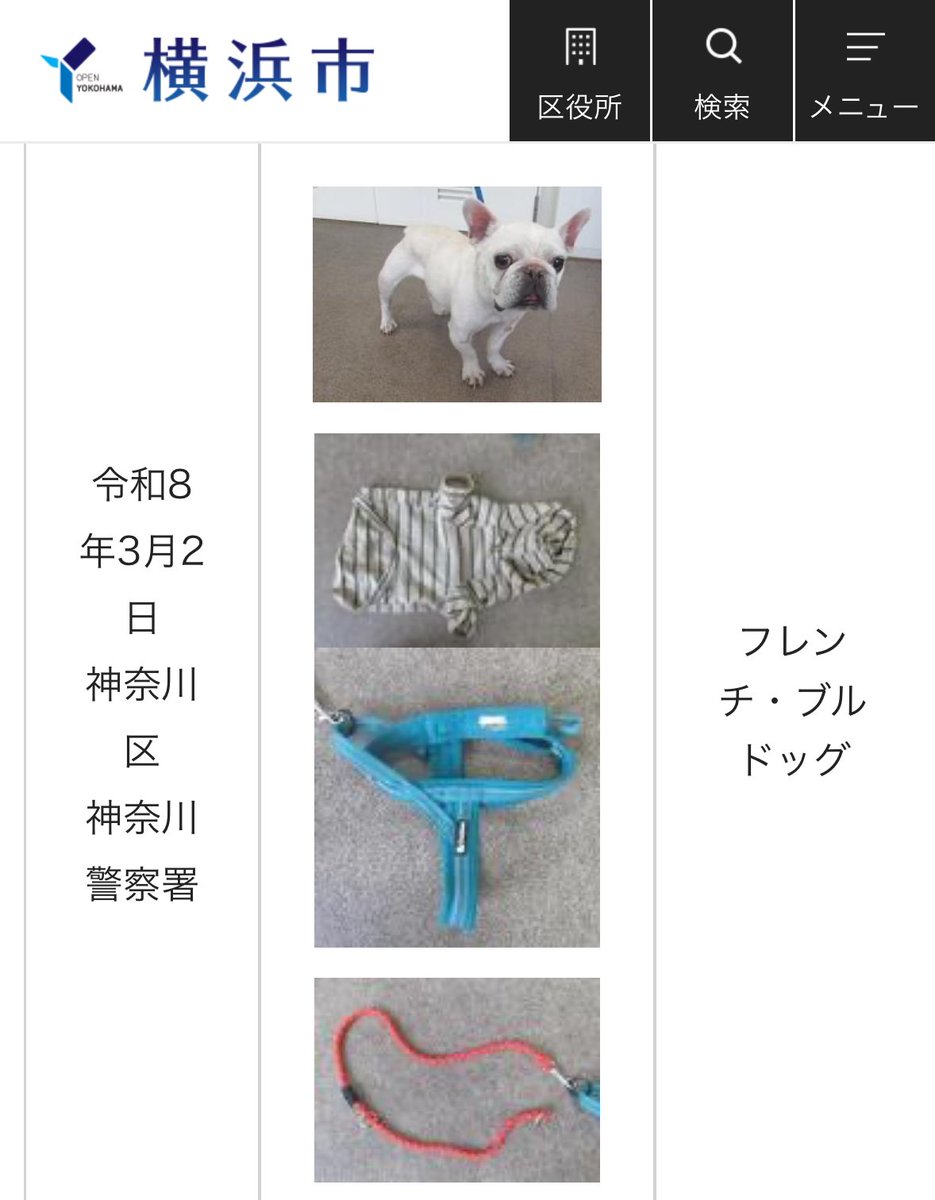 ShinjukuSokai's tweet photo. 横浜市動物愛護センターに収容されてるこいつ、服と胴輪とリードがセットで保護されてるからおそらく散歩中に迷子になってるな。
飼い主たぶん市に保護されてるの気付いてないのでは？おうちに帰れますように。 https://t.co/FlnRG0AsRf
