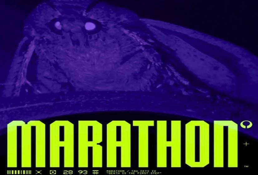 🐛MegalodonFoster 🐛 tweet media