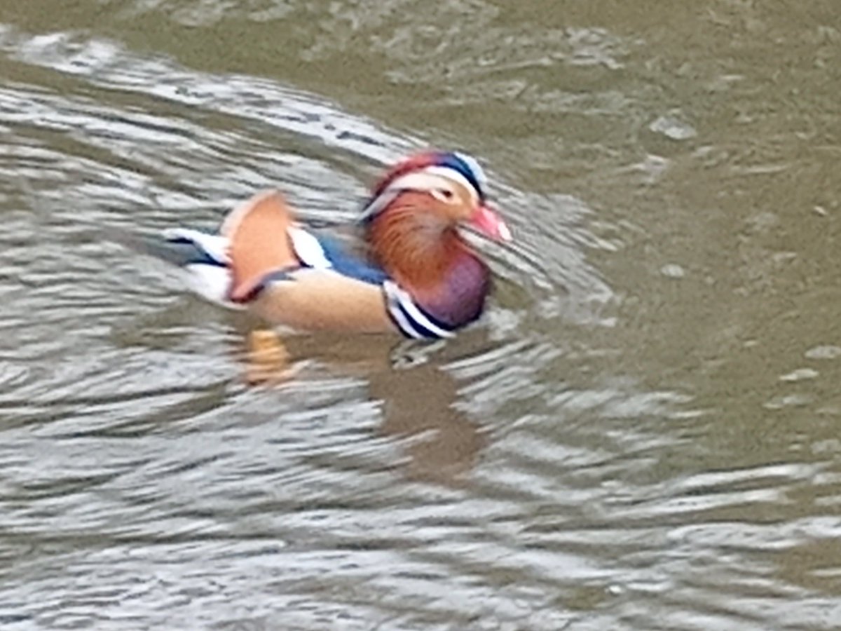 Andy Rawson tweet media