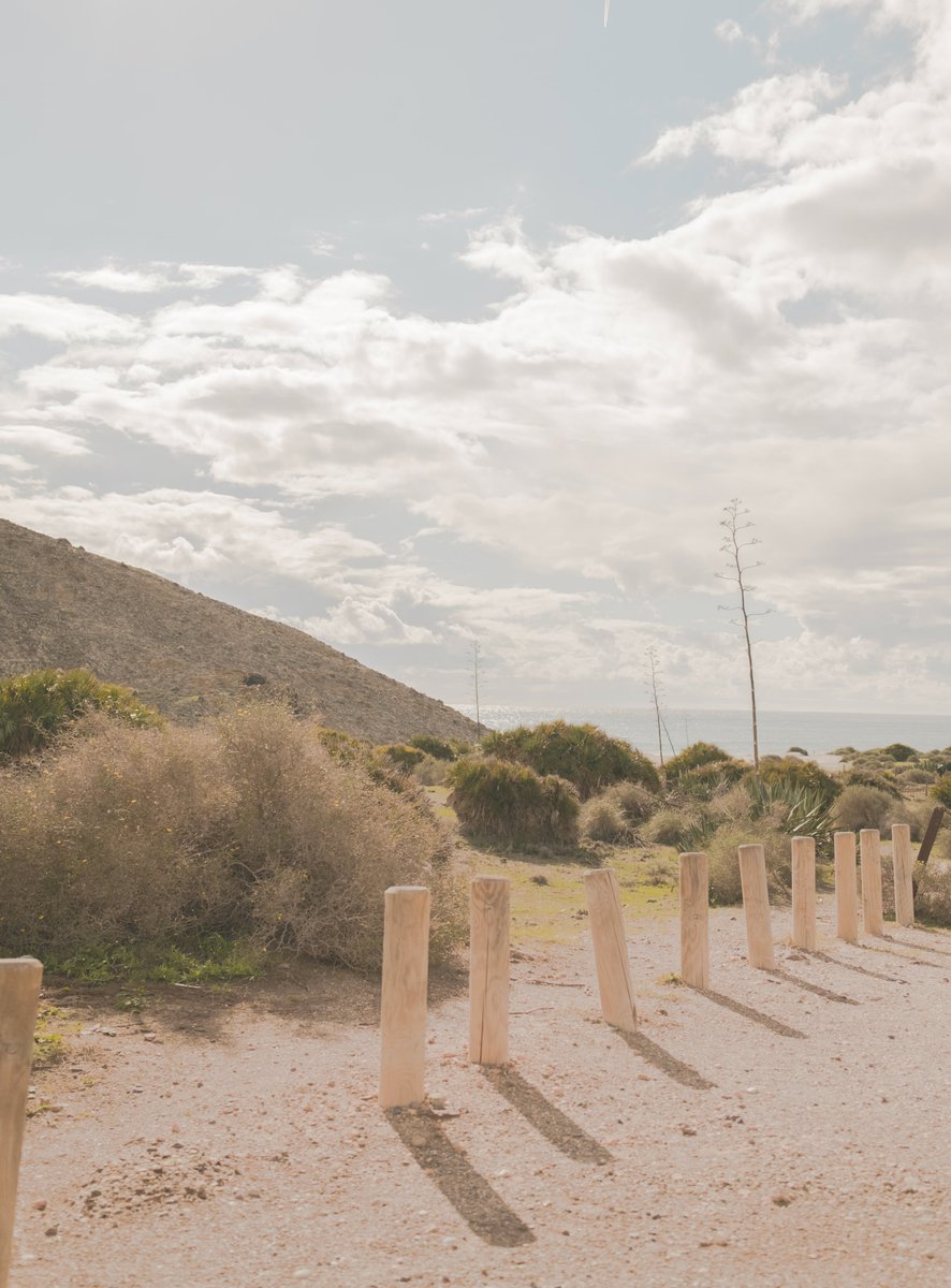 La primavera se va asomando por Almeria