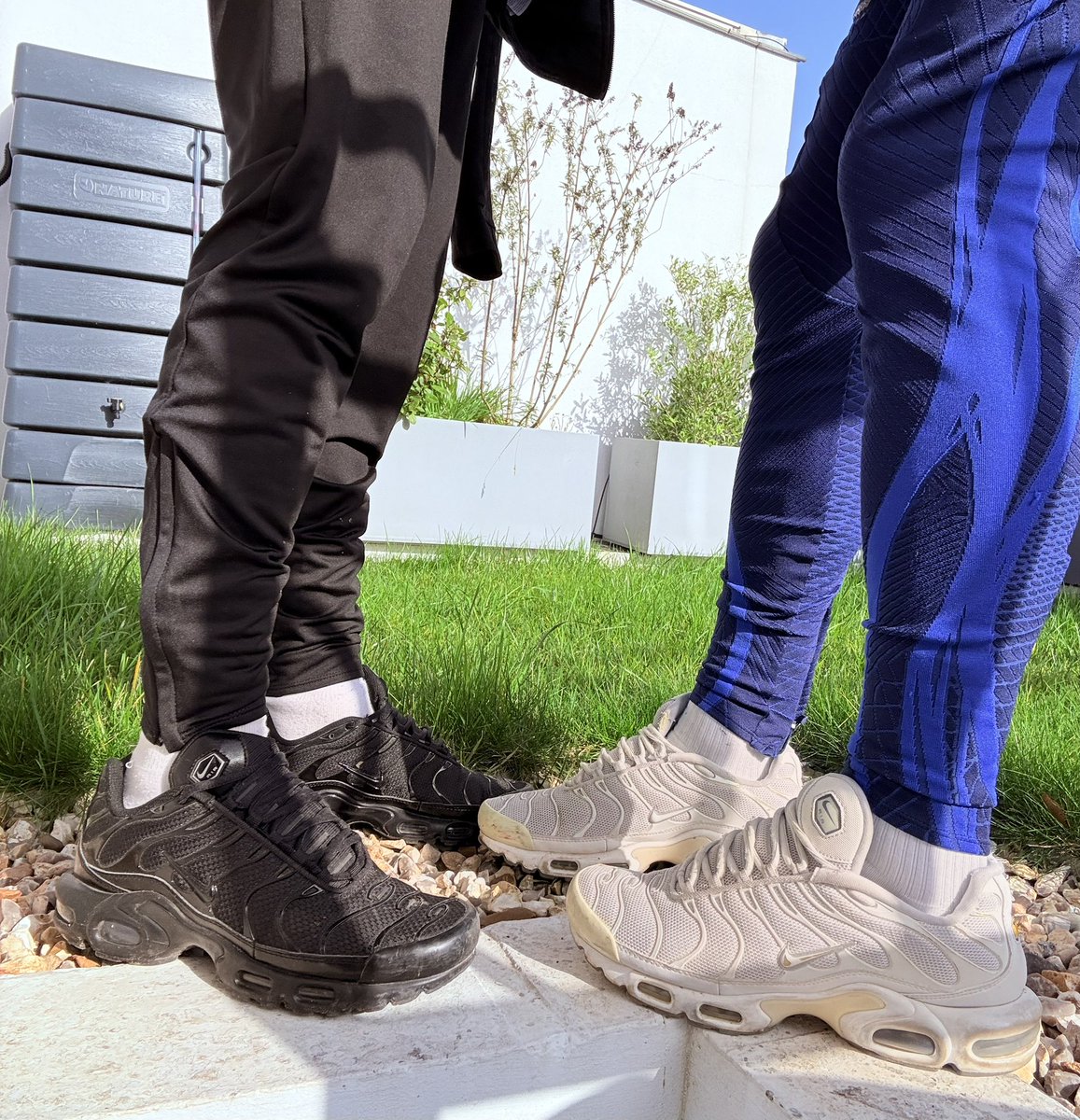 AirmaxTnboy tweet media