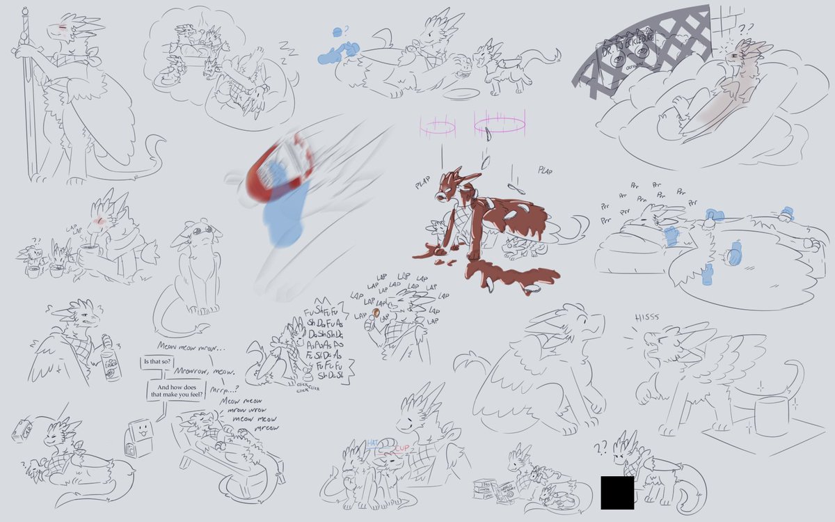 🐾🦊✨ tweet media