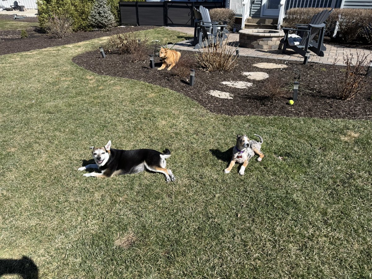 Kurt Sams, CGCS tweet media