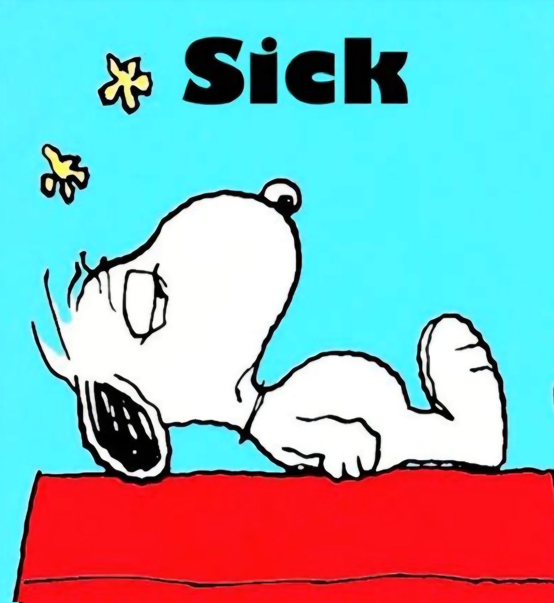 ... ganz schnell, Klein-Moppel-Snoopy hat nämlich die Snoopygrippe, die ist noch schlimmer als die Männergrippe 🥴.
Schlaft schön und träumt bunt 🌈