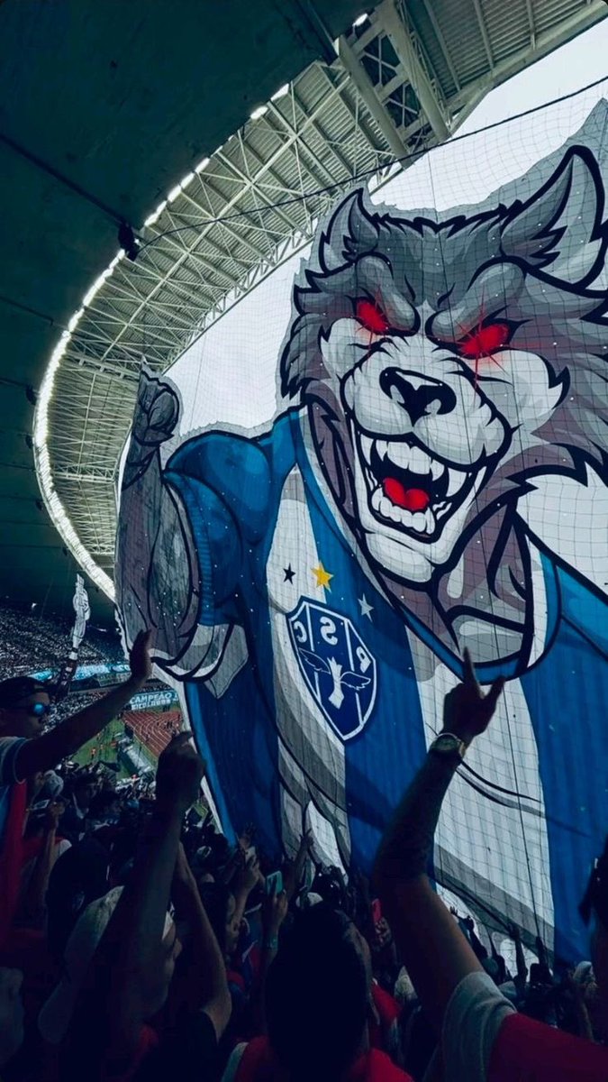 SAYSANDU tweet media